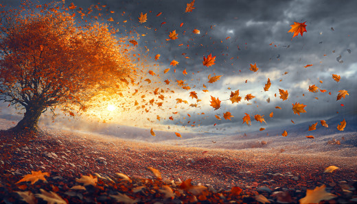 �1757076 �������(a): ����������:3072x1755